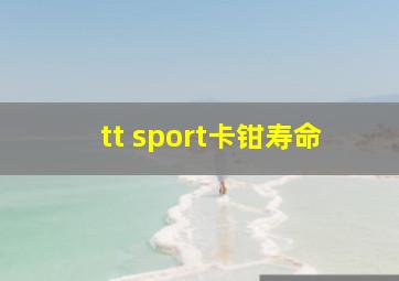 tt sport卡钳寿命